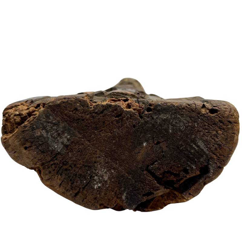 antiek houten guanyin boeddha beeld met authentieke uitstraling en rust