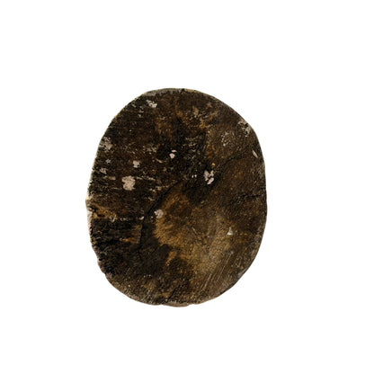 Archaïsche voorouderfiguren uit de Kleine Soenda-eilanden – opname 6