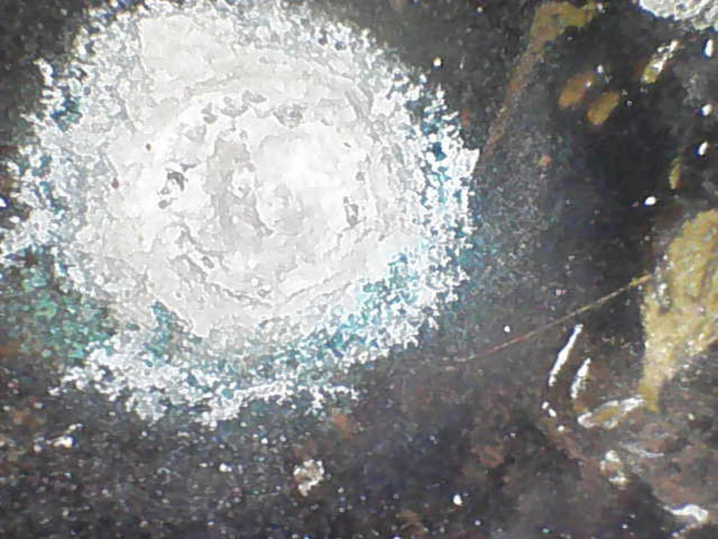 Binnenkant antieke Boeddha