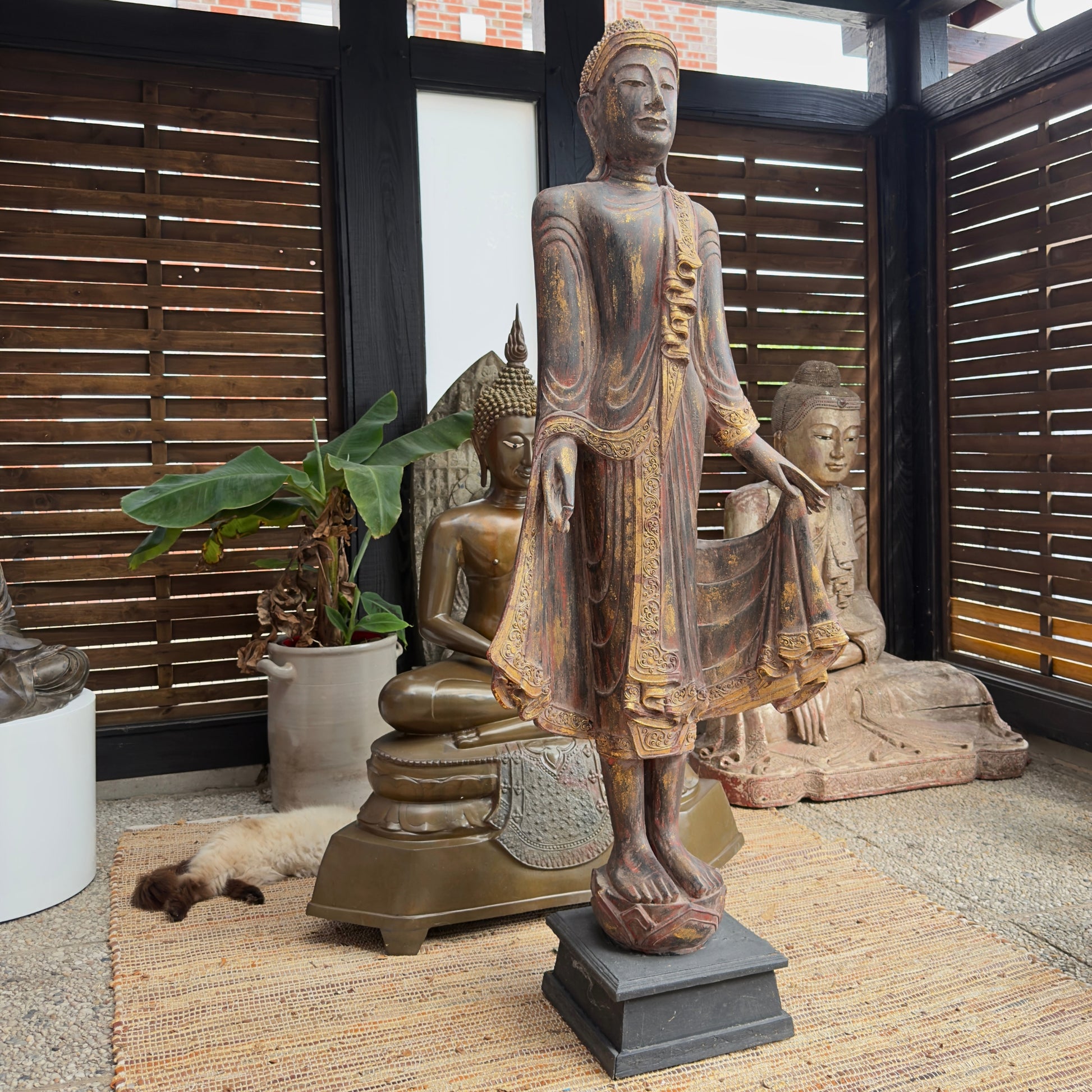 Monumentale antieke Birmese staande Boeddha van teakhout met originele vergulding en lak