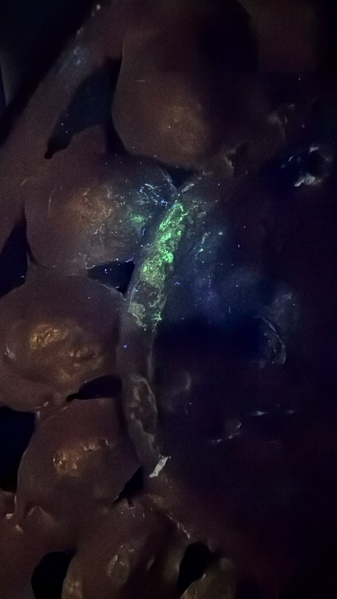 UV-foto van een antieke Groene Tara uit Nepal met zichtbare fluorescentie, vuurvergulding, oude restauraties en natuurlijke patina onder ultraviolet licht.