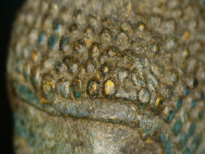 Microscoopdetail van haarkrullen met verspreide goudkleurige resten en oude patina
