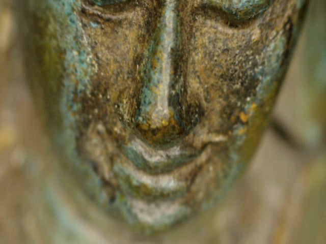 Microscoopdetail van neus en mond met minuscule goudkleurige resten tussen de patina