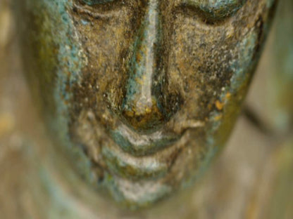 Microscoopdetail van neus en mond met minuscule goudkleurige resten tussen de patina