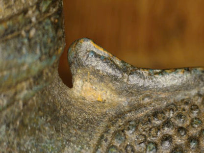 Microscoopdetail van vlamvormige ushnisha met dunne goudkleurige resten op antieke Thaise bronzen Boeddha
