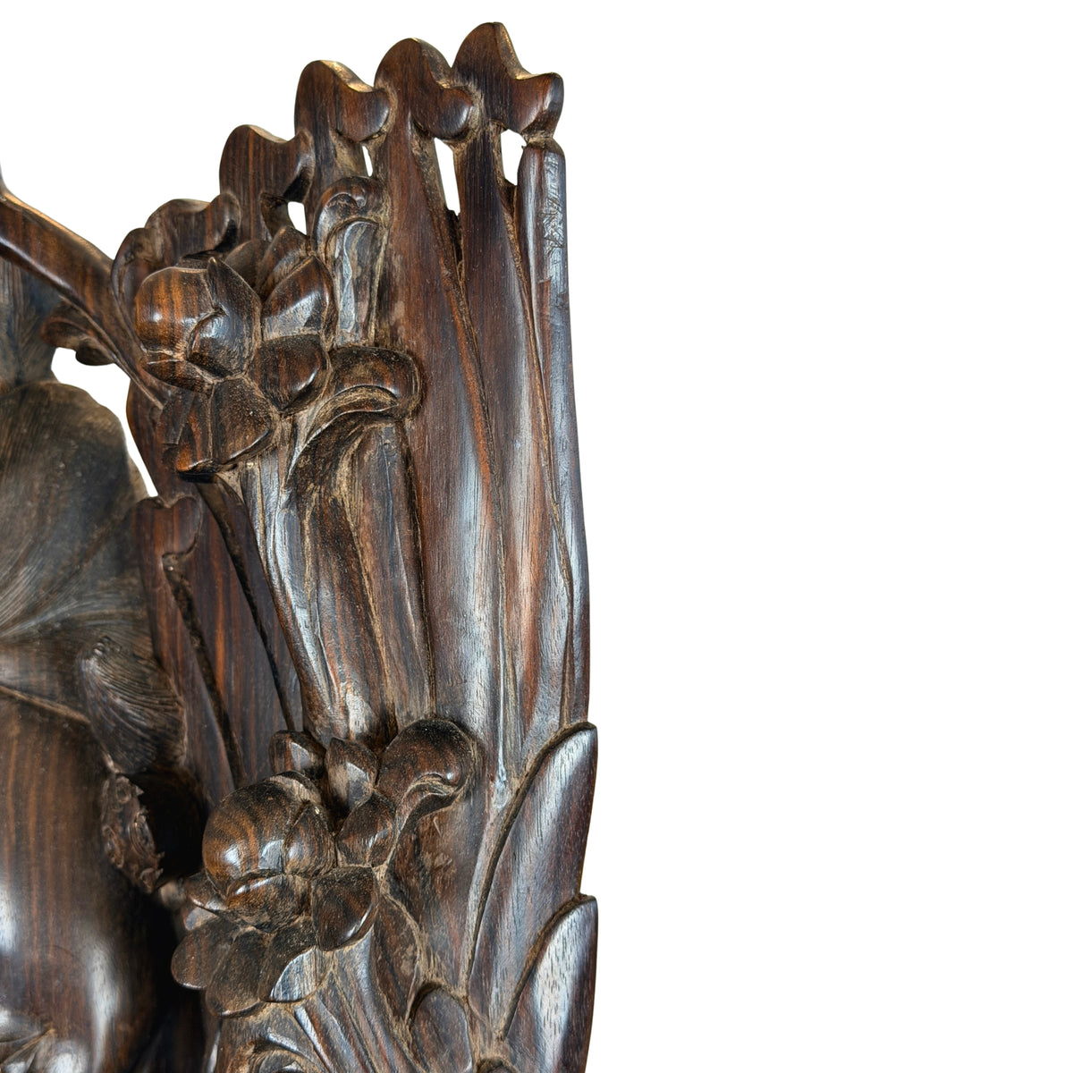 Gevederde Garuda-vleugels, close-up