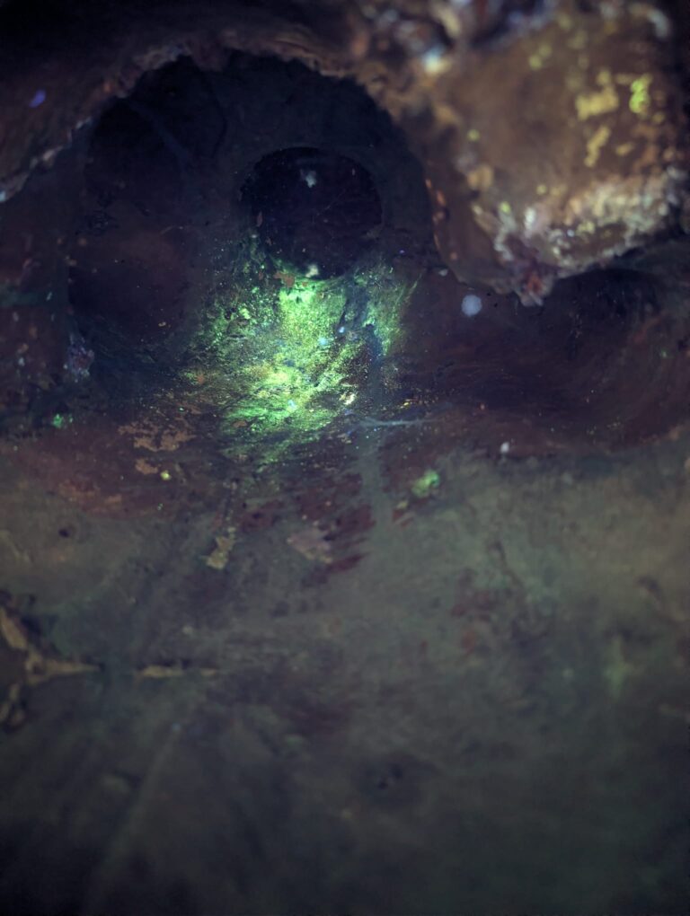 Antieke boeddha met UV lamp bekeken. 