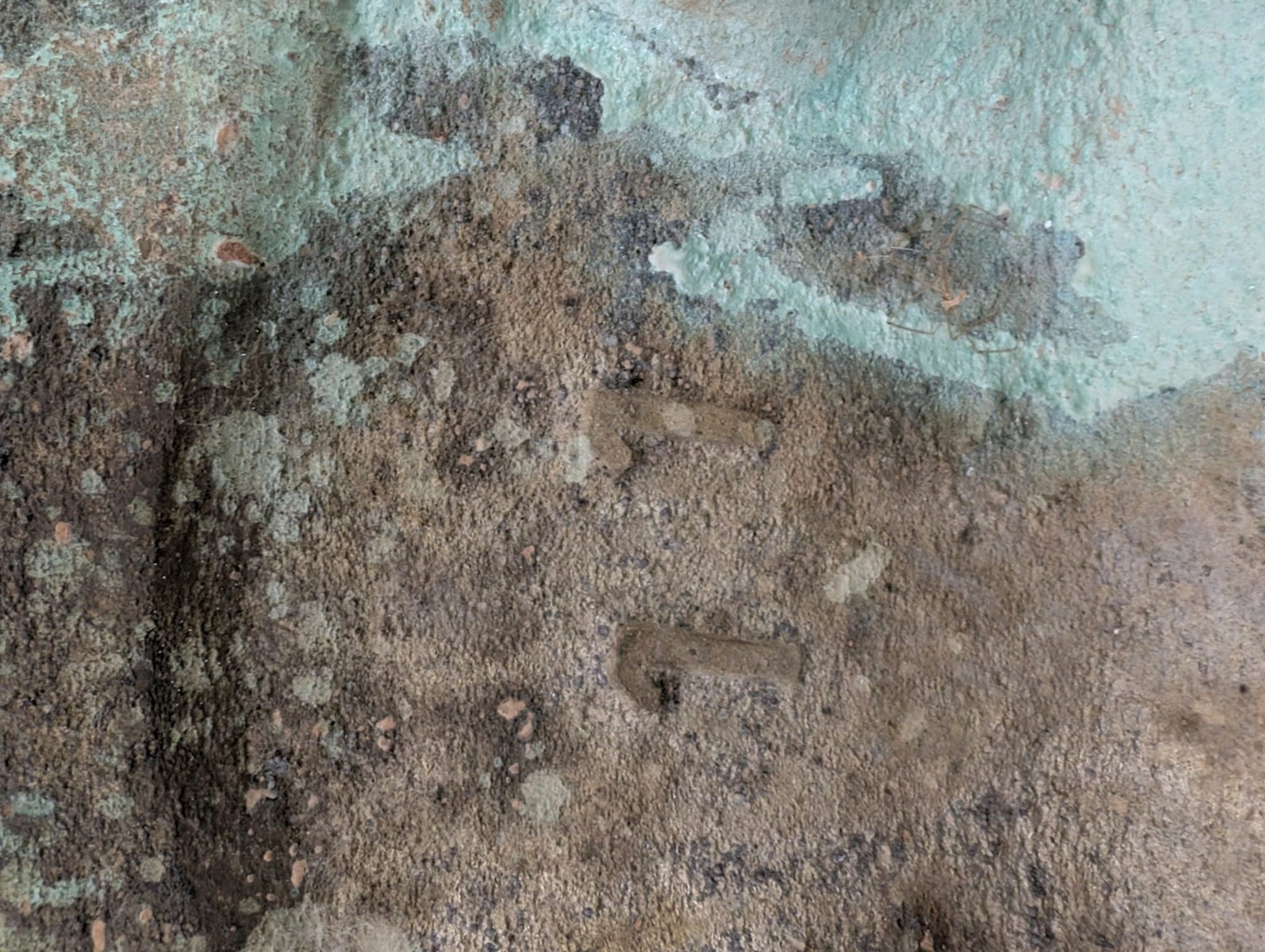 Monumentaal Thais Boeddhabeeld in brons met serene uitstraling