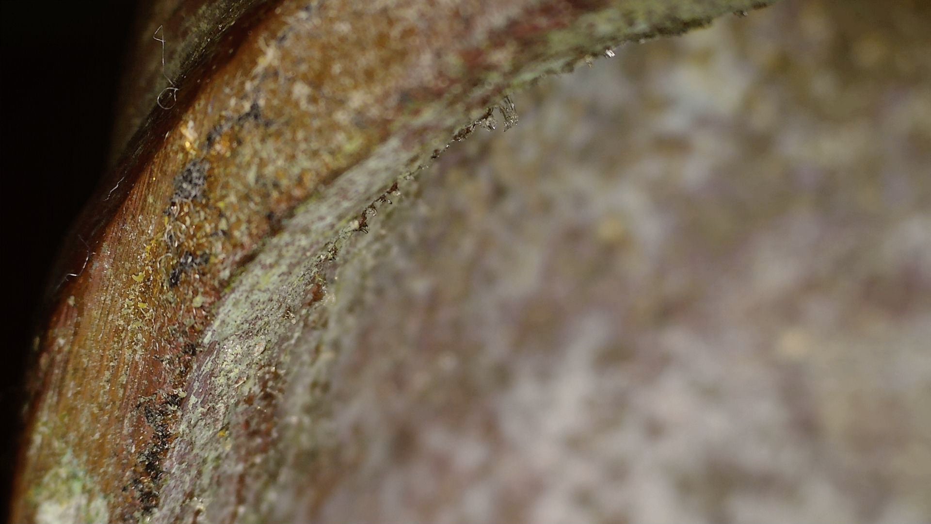Macrodetail van de binnenrand met oude afzettingen