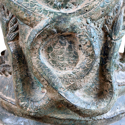 Detail van de gegraveerde schubmotieven op de rugzijde