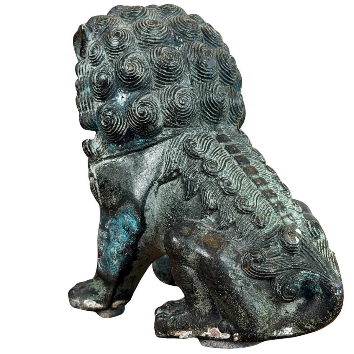Achterzijde schuin, met staart