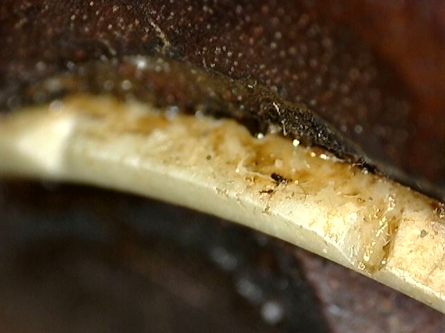 Religieus Guanyin hoofd in hout voor wandgebruik