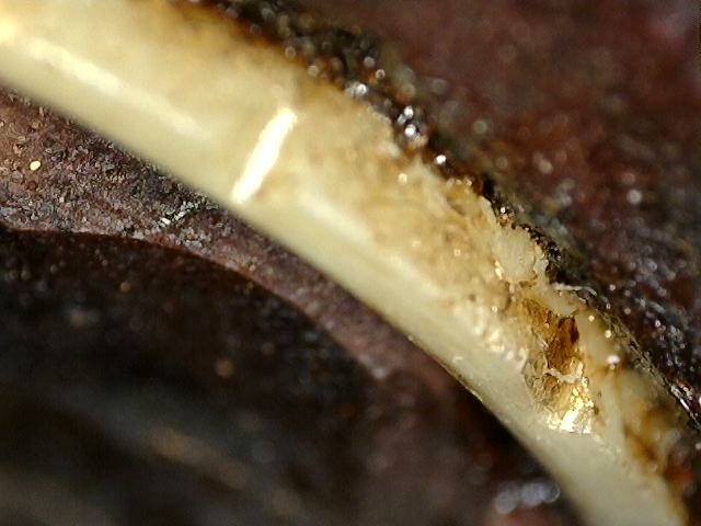 Guanyin masker in hout uit China uit de 19e eeuw