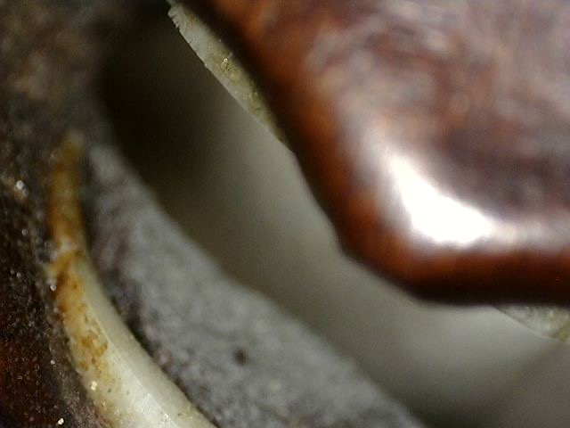 Guanyin maskerhoofd in hout met oude patina uit China