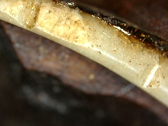 Guanyin maskerhoofd in hout voor religieuze wandopstelling