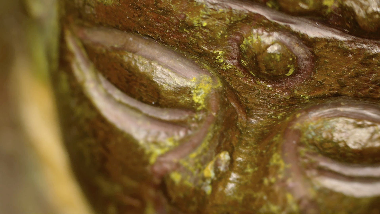 Macro-opname van het oog, de urna en de verouderde patina