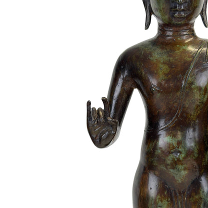 Close-up van de iconografische Double Vitarka Mudra handhouding, symbool van wijsheid en bescherming.