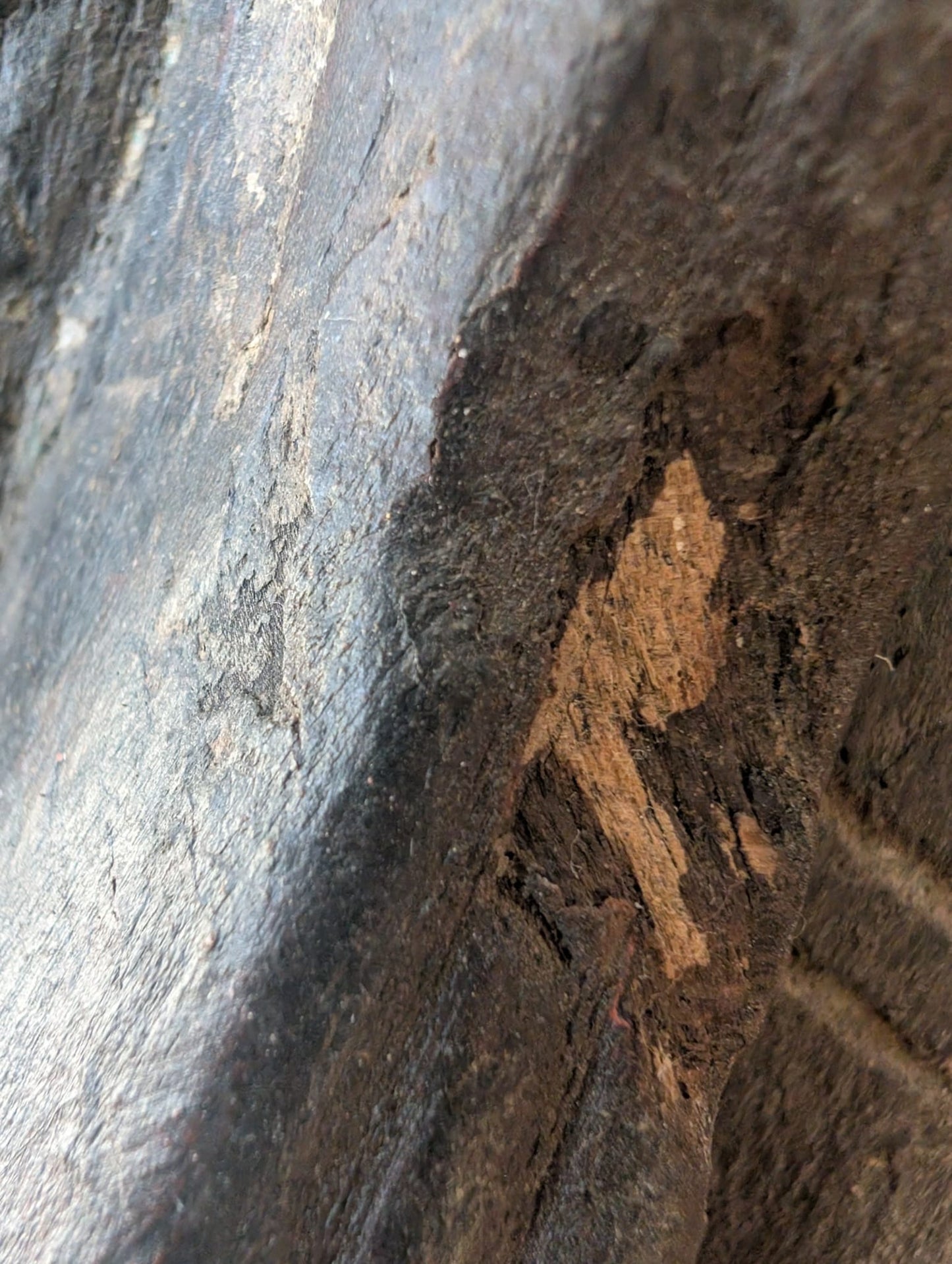 Detail van Lakshmi beeld uit Nepal in hout met polychromie resten zichtbaar in de diepte van het oppervlak