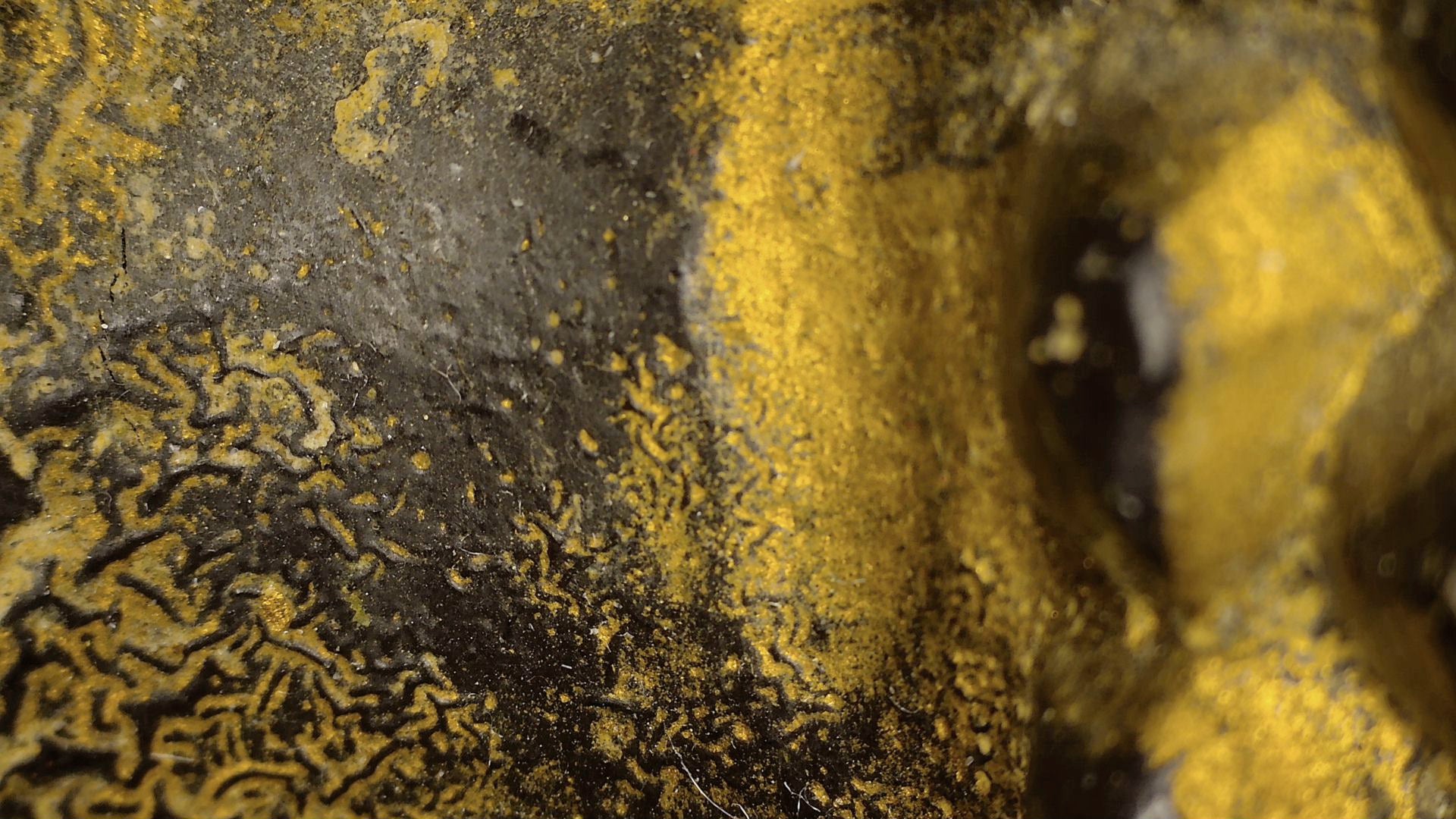 Microscoopdetail van craquelé en vergulding op het Birmese beeld
