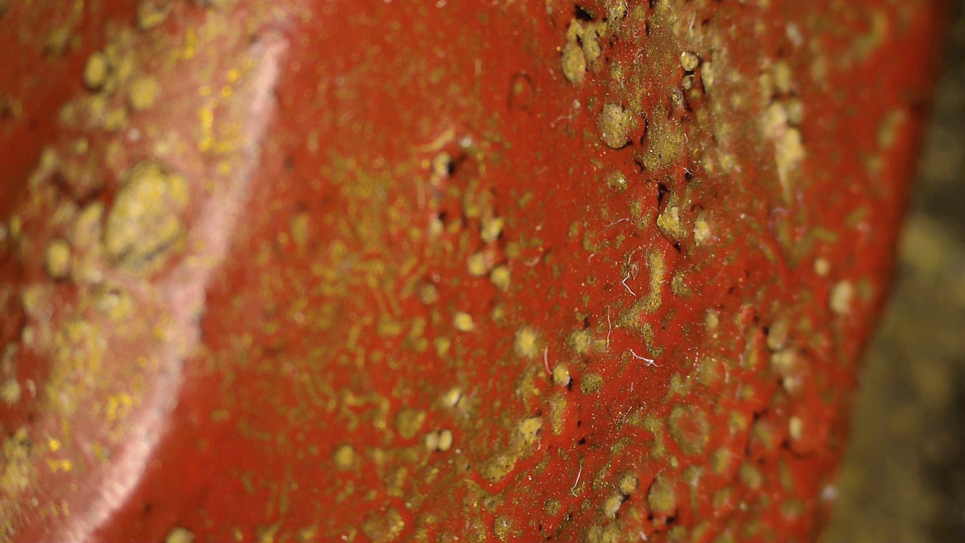 Microscoopopname van rode polychromie en oude oppervlakteslijtage