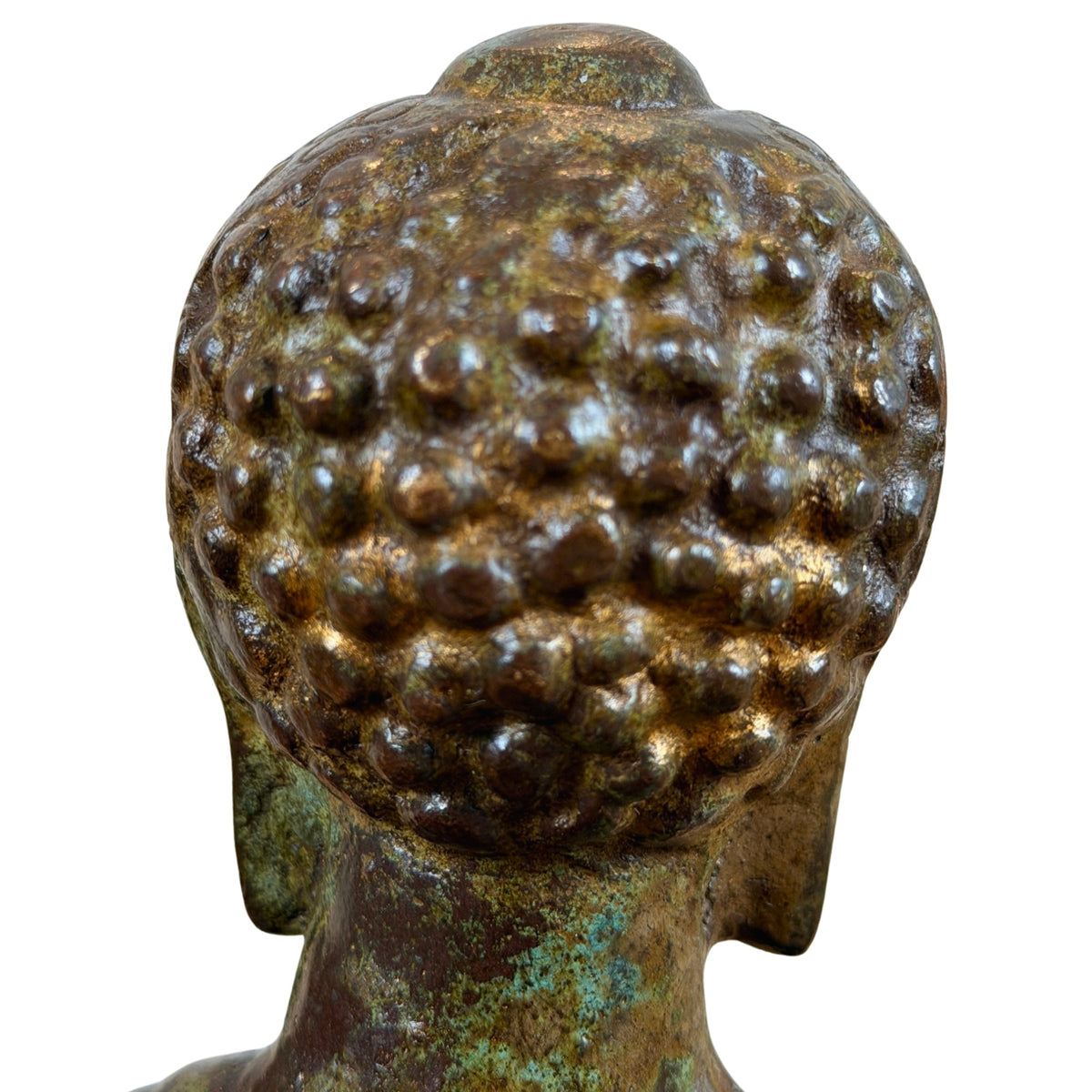 Detail van hoofd en oor aan de linkerzijde