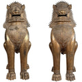 FOO DOGS / TEMPELLEEUWEN