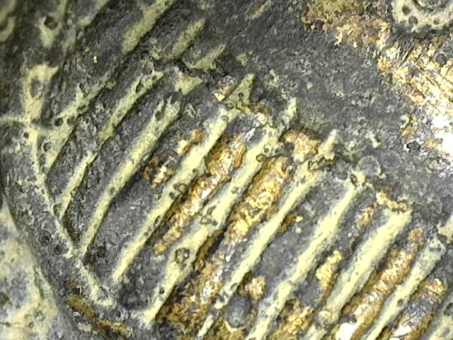 Vergroting van het goudkleurige plekje in de gietkern