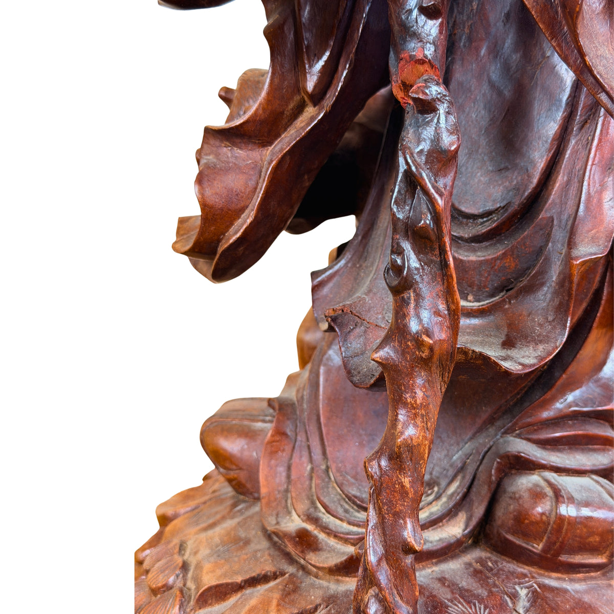 Gewaadzoom en rotsvoet, detail