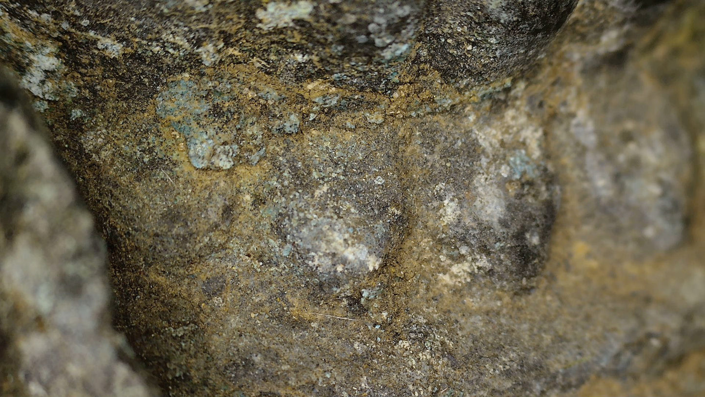 SKU 745 – macro van minerale en aardachtige afzettingen op de bronzen votiefstupa