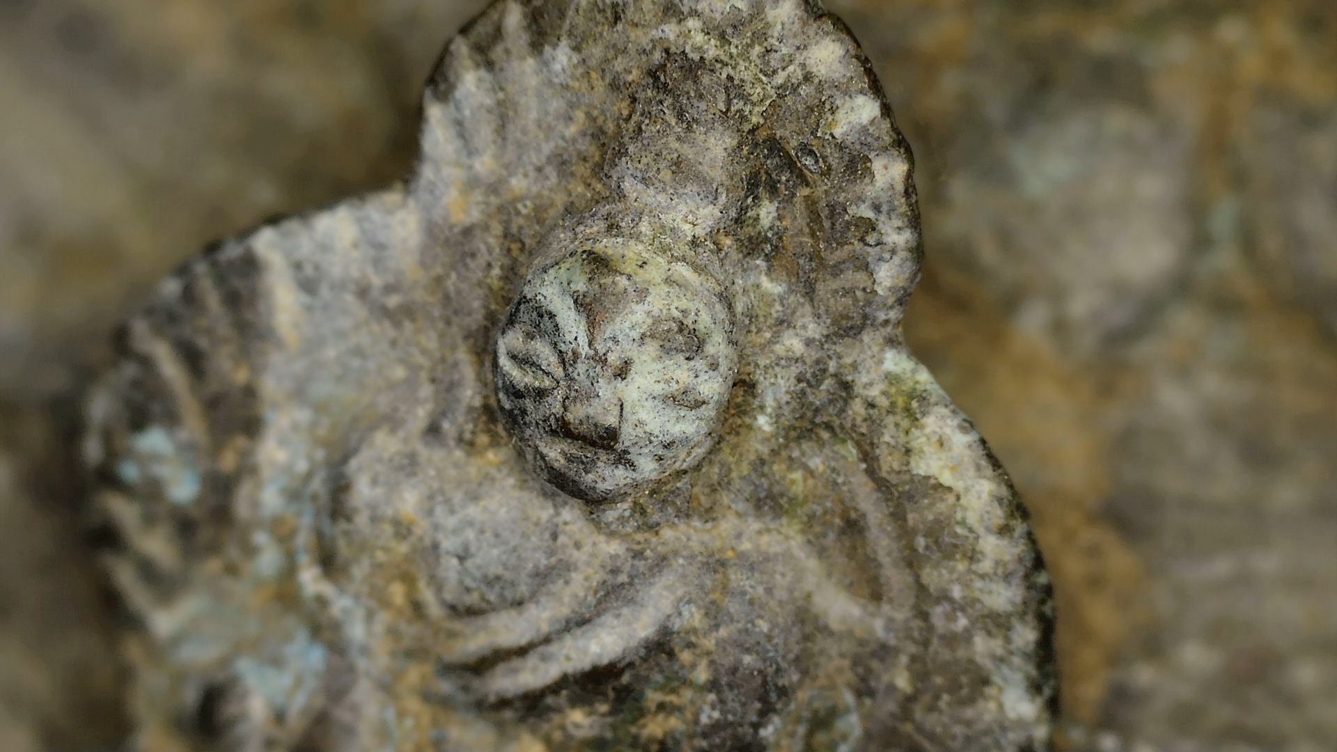 SKU 745 – macro van het gezicht en bovenlichaam van een zittende Boeddhafiguur