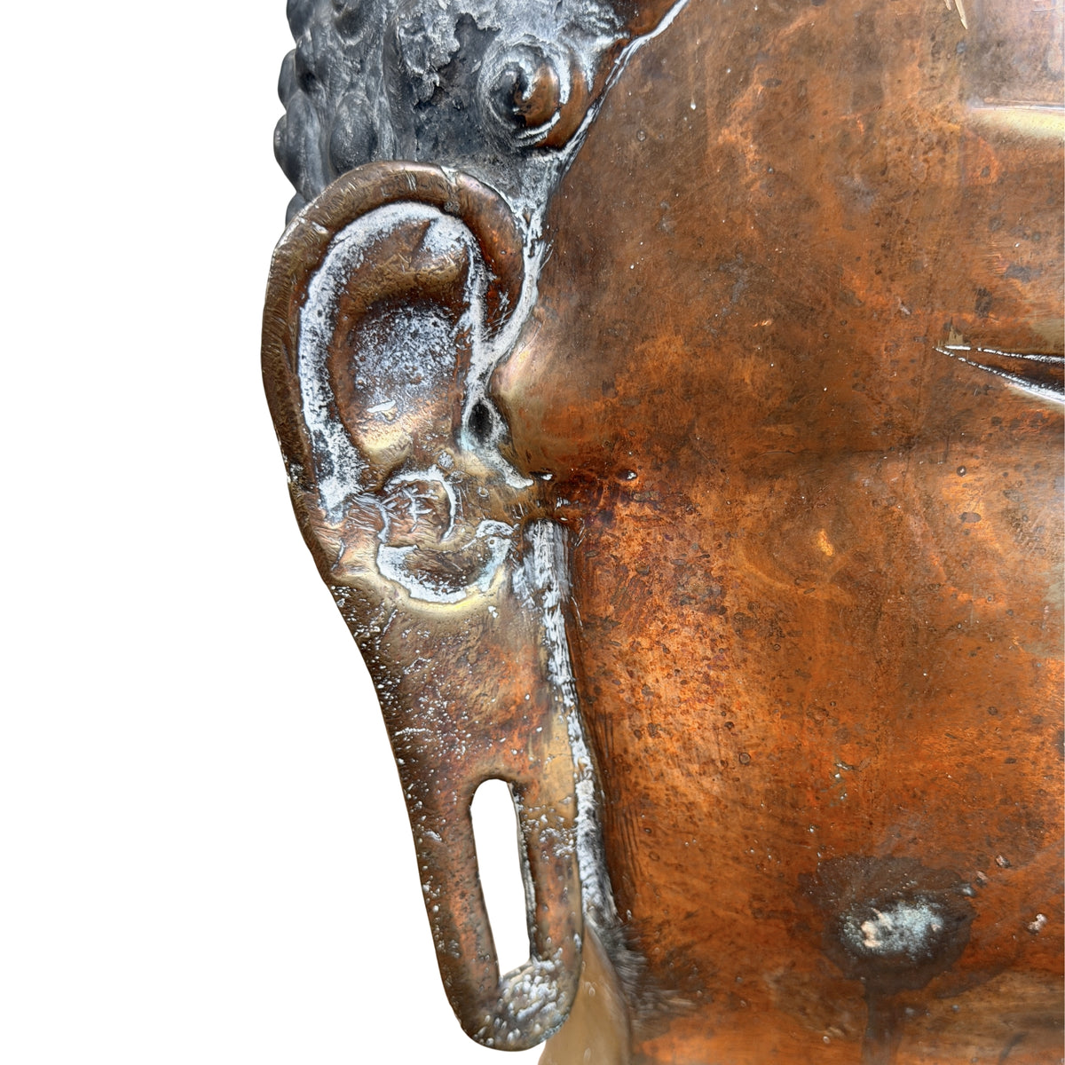 Rechteroor met langgerekte oorlel en een gietputje op de kaak, detail