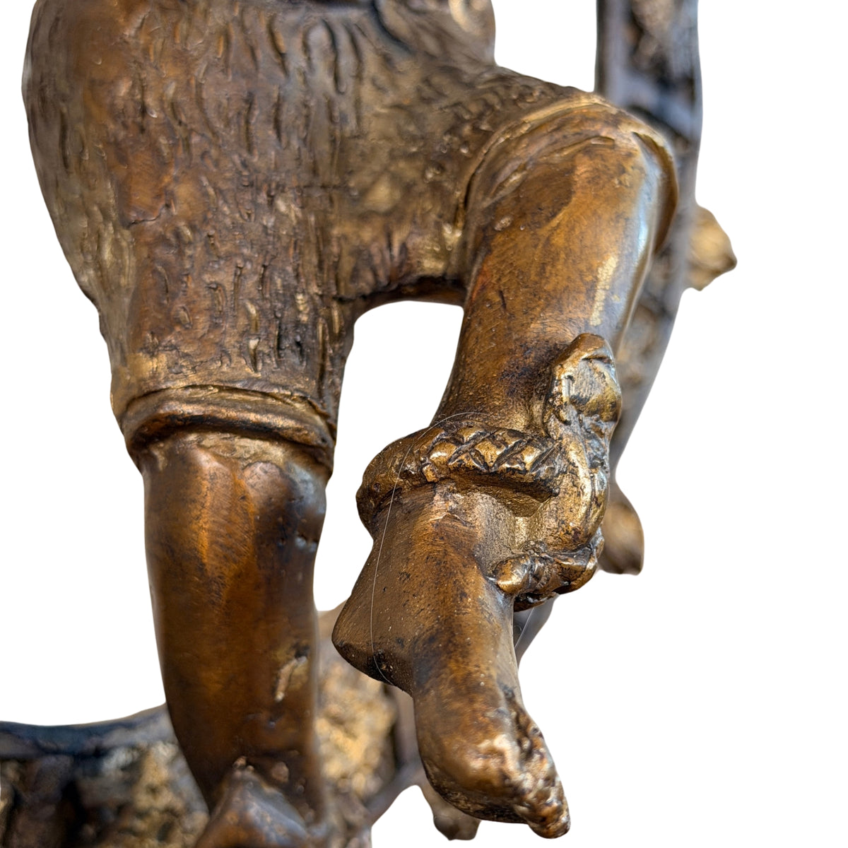 Geheven been met tijgervel en enkelband, detail